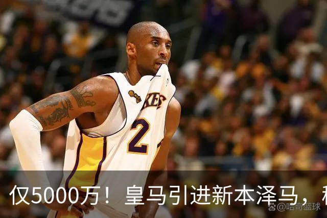 仅5000万！皇马引进新本泽马，穆帅4231战术升级，瞄准西甲欧冠双冠