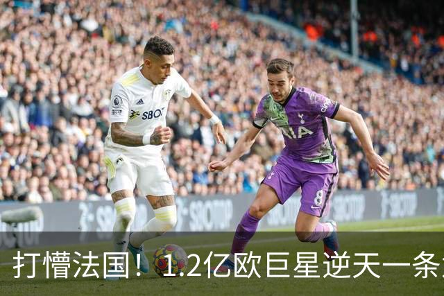 打懵法国！1.2亿欧巨星逆天一条龙：抢断后奔袭20米 轰20米世界波